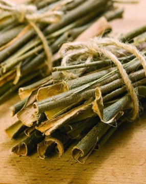 Час заготовляти кору