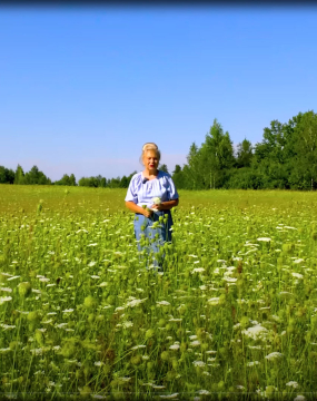 Спасіння від каміння