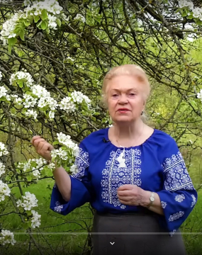 Груша, целебная и крепкая